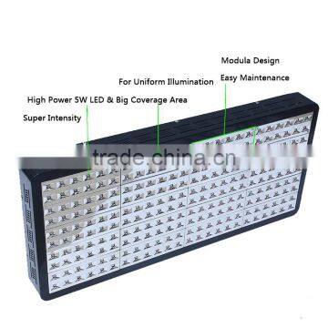 1000w Reflector Double Switch Full Spectrum Led Grow Light for Medical Plants and Flower photo-2