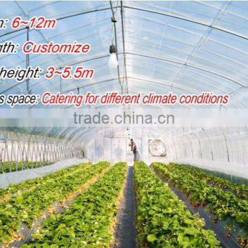 Agriculture Greenhouses in China photo-5