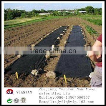 Black Non Woven Fabric Used for Garden Fleece photo-2