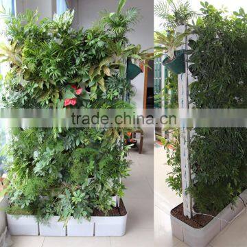 Double sided green wall system for office