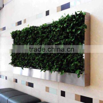 New Generation Flexible Hydro Vertical Plastic Green Wall