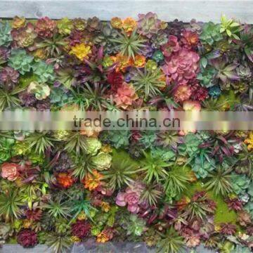 Home and outdoor decoration synthetic cheap artificial vertical green grass succulent wall E08 04C47