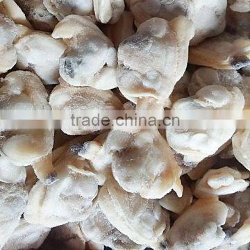 Frozen Baby Clam Size 41-50