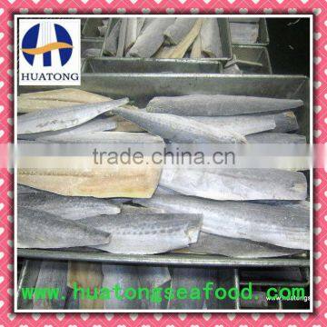 A grade IQF spanish mackerel fillet