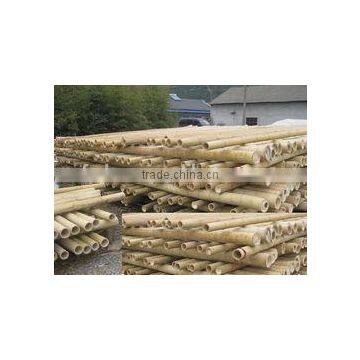 Cheap price Bamboo poles from Chibi China