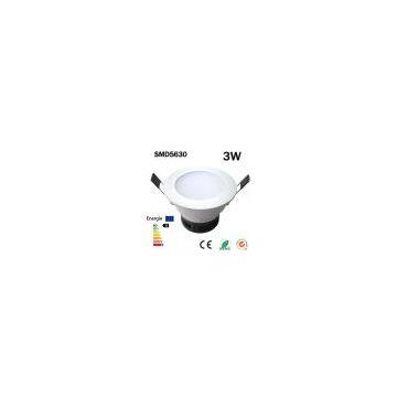 LED down lamp 3W