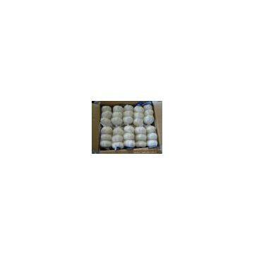 Normal White Garlic (3pcs/small Bag in 10kg/ctn) photo-2