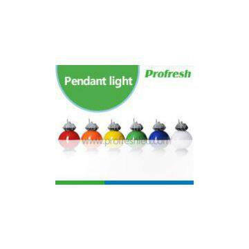 PC shell led pendant lights, meat led pendant lighting 10W 20W 30W