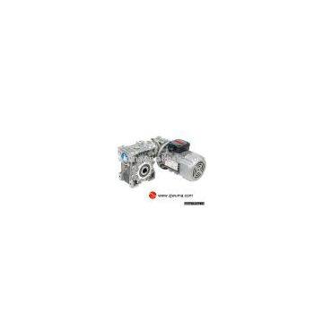 double worm gear reducers