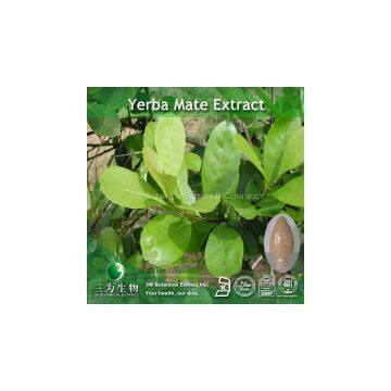 Yerba mate extract