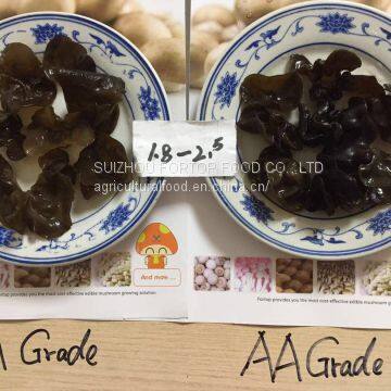 Factory Price Northeast Dried Black Fungus/Auricularia Auricula Grade AA & Grade A (Size:1.8-2.5cm,2.5cm Above) photo-3