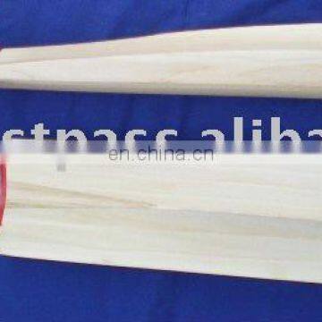 Cricket equipment