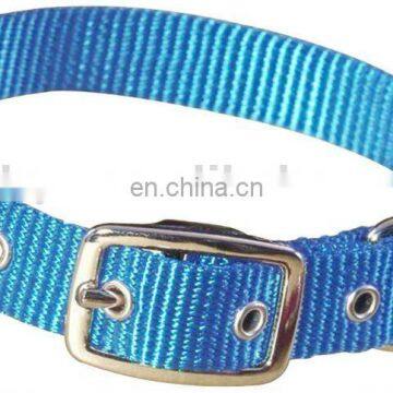 pet collar
