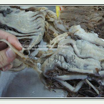 Meat Fish Slicing Machine photo-4