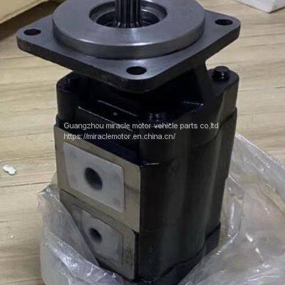 Gear Pump P31B578B8OH20-25RBAB05-1 for  PARKER