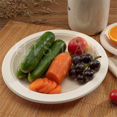 Eco-friendly Biodegradable Disposable Dinner Plates Wholesale photo-2