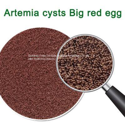 Artemia Cysts Big Red Egg