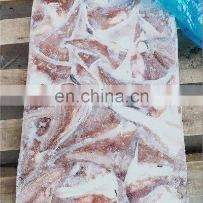 Frozen Squid Tip Giant Squid Tail Indian Ocean Squid Tip photo-4
