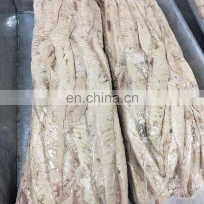 Precooked Skipjack Tuna Loin EU Standard Bonito Tuna Loin photo-2