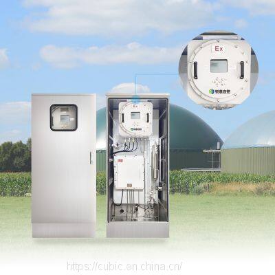 Китай Детектор биогаза CH4 O2 H2S CO2 Многофункциональный портативный анализатор биогаза photo-4