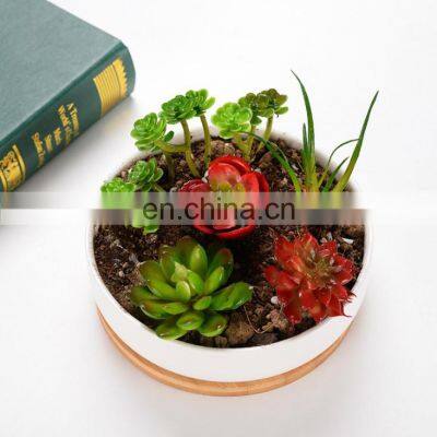 Flower Pot & Planters Plant Pot Planter Succulent Indoor Wholesale Flowerpot De Fleurs Cactus Modern White Ceramic Flower Pots