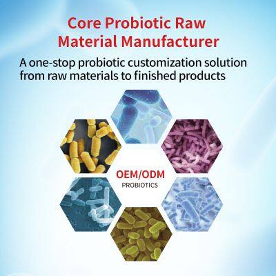 Factory Supply Customizable 10 Billion CFU Pediococcus Acidilactici Food Grade Probiotics Powder White Appearance Shandong photo-4