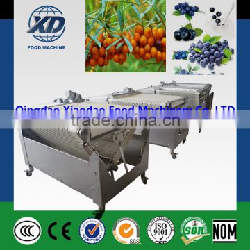 Multifuctional blueberry sorter/full automatic blueberry sorter machine/5- grades blueberry sorting machine