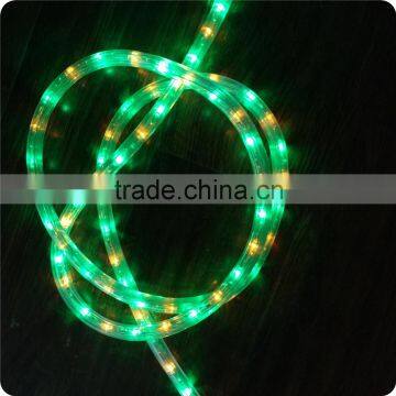 Bi-colors 36leds 110V led rope light color changing