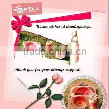 Biodegradable Eco-Friendly BamBoo Kids Dinner Set / photo-6