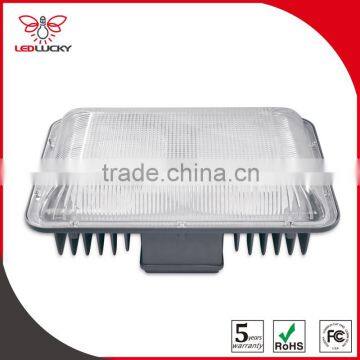 Factory Price FCC IP65 30W canopy spotlight