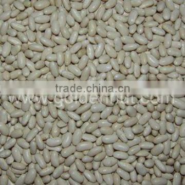 Small white kidney beans(baishake)