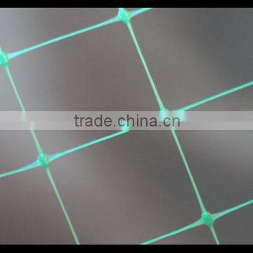 PP Erosion Control Net /Slope Protection Net Manufacture photo-5