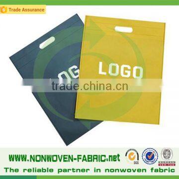 Customized Logo Printing Gift Bag, Eco Friendly Reusable Non Woven Shopping Bags