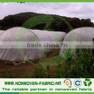 Anti-aging 100%PP Spun-bond Nonwoven Fabric for Agriculture Crop Cover