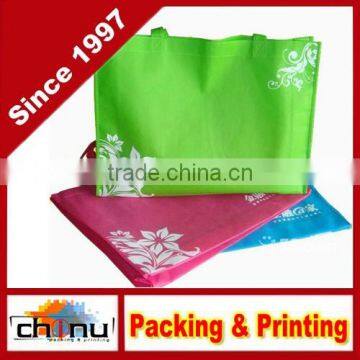 Promotion Shopping Packing Non Woven Bag (920018)