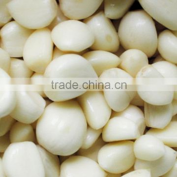 SINGLE CLOVE GARLIC