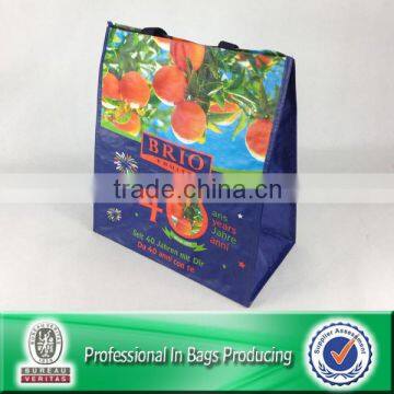 Eco-friendly color pp woven reusable market shopping bags