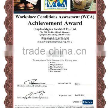 Dry Cat Food Salmon in Bone Shape MJC48 Pet Food Cat Treats photo-4