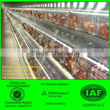 (Germany TUV Rheinland)design layer chicken cages(factory)3or 4