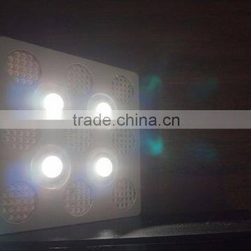 Full Spectrum High Power Led Grow Light 600w With High Intensity and Super Power