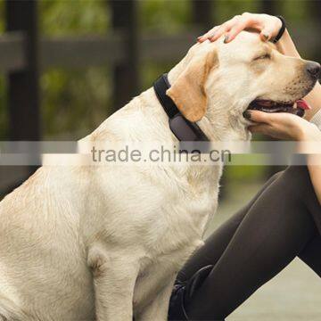 Waterproof Mini Collar Pet GPS Tracker Most Popular Gps Tracker Dog