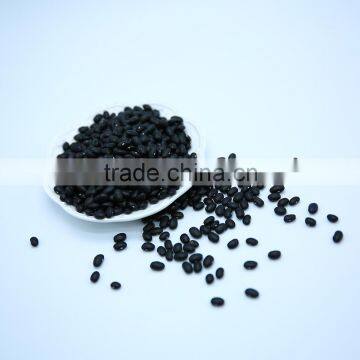 Black Kidney Beans Black Kidney Beans photo-5