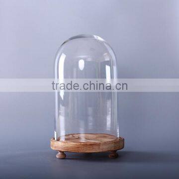 glass bell dome with wood stand