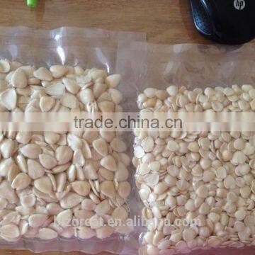 Blanched Sweet Apricot Kerenels Whole Piece Longwang Type in China photo-3