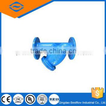 Din flange y strainer