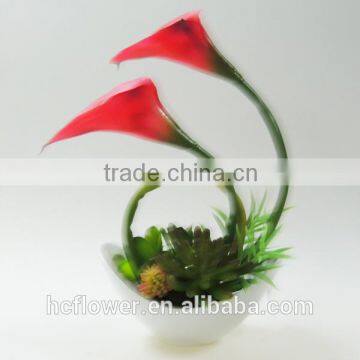 most popular home decor flower calla lily