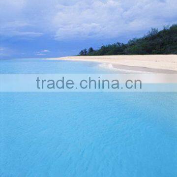 3 x 6 Meters Customized Digital Scenery Backdrop For Photograph Studio photo-3