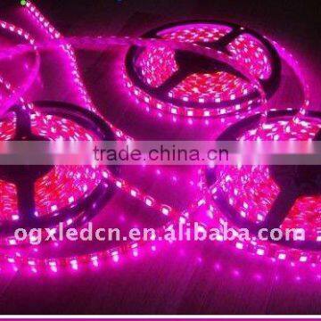 5050 30led/m 12v IP20 Purple non waterproof Flexible LED Strip light