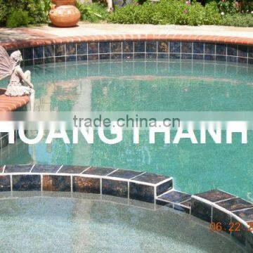 Mortar /Tile Adhesive P03 photo-4