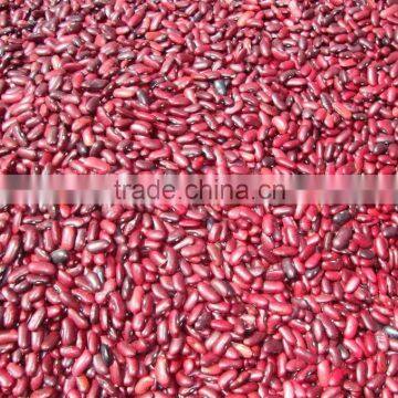 British Red Kidney Bean,220-240pcs/100g,200-220PCS/100G photo-2